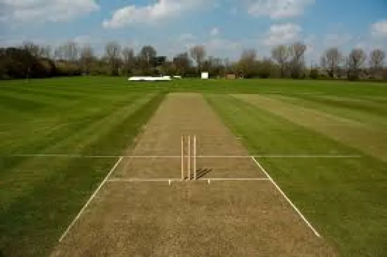 Cricket pitch